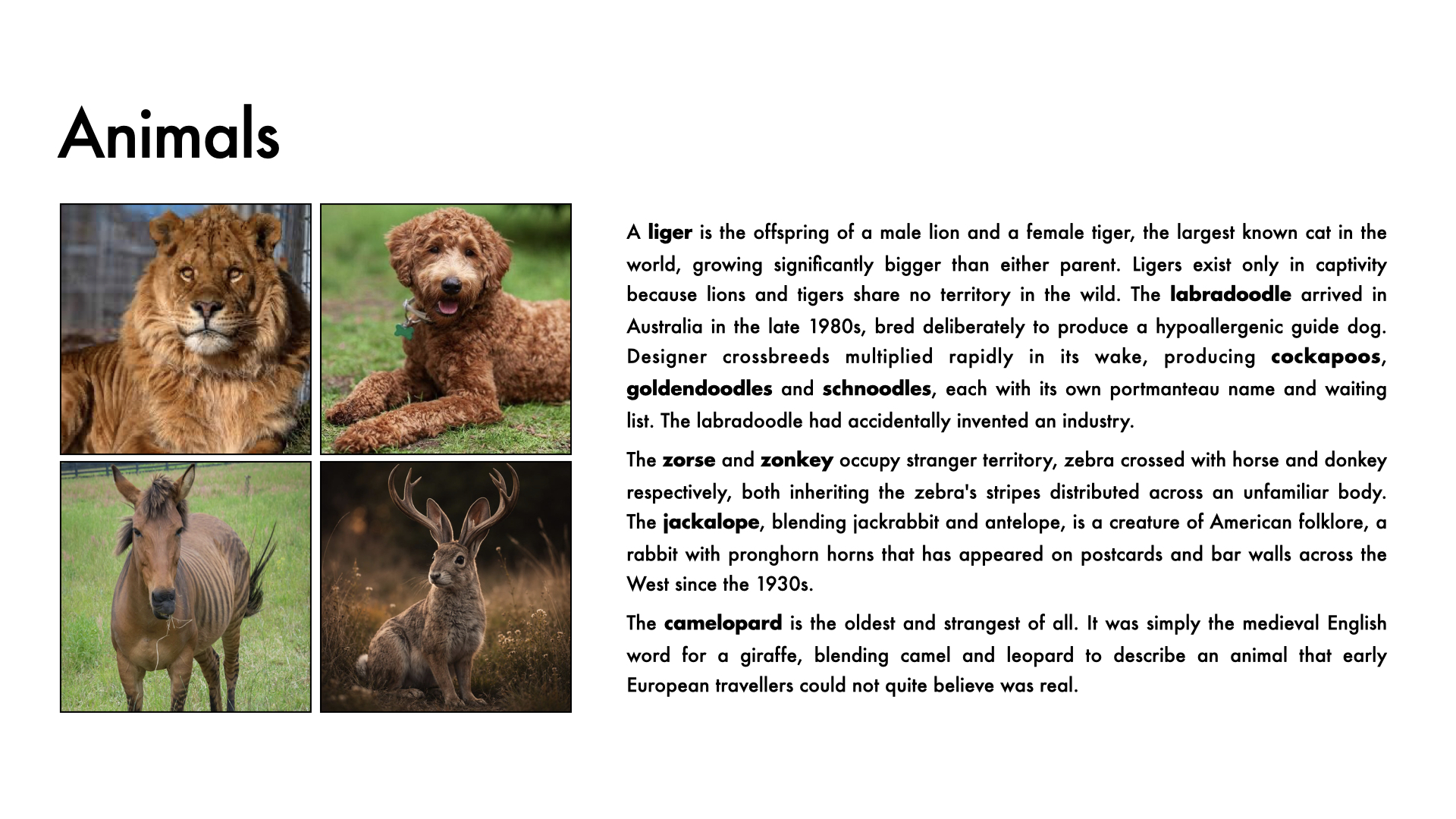 week 30 Page 10